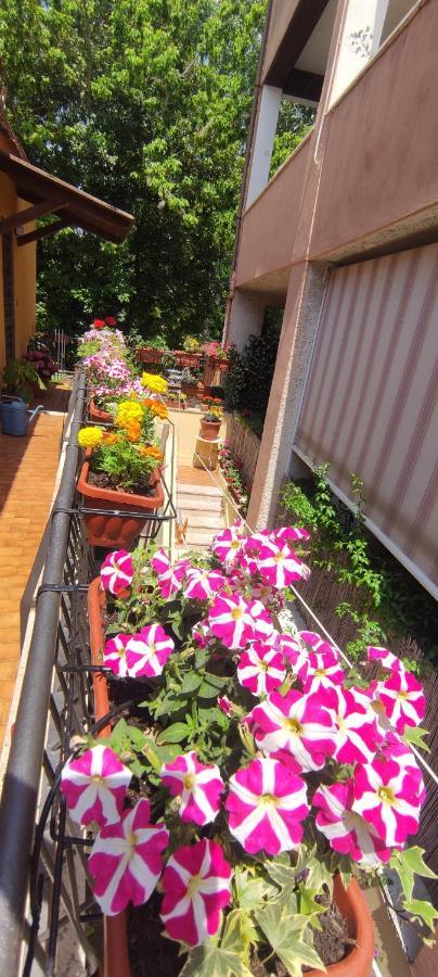 Elisa E Carla House Beautiful Apartments On The Cassia Рим Екстериор снимка